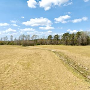 Photo #18 of Off of Medical Center Rd, Gates, NC 37.8 acres