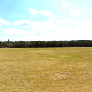 Photo #20 of Off of Medical Center Rd, Gates, NC 37.8 acres