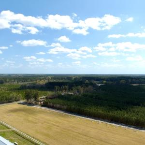 Photo #3 of Off of Medical Center Rd, Gates, NC 37.8 acres