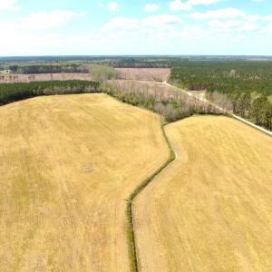 Photo #4 of Off of Medical Center Rd, Gates, NC 37.8 acres