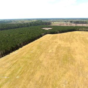 Photo #5 of Off of Medical Center Rd, Gates, NC 37.8 acres