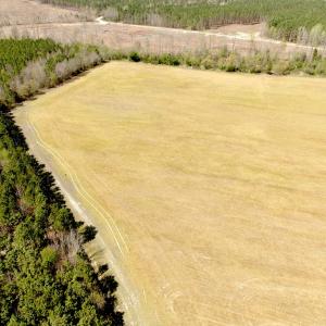 Photo #6 of Off of Medical Center Rd, Gates, NC 37.8 acres