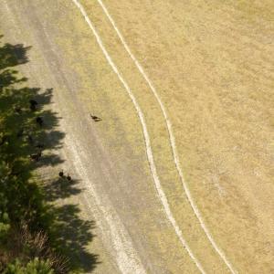 Photo #7 of Off of Medical Center Rd, Gates, NC 37.8 acres