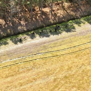 Photo #8 of Off of Medical Center Rd, Gates, NC 37.8 acres