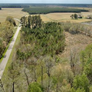 Photo #12 of Off Black Mingle Rd, Gates, NC 0.6 acres