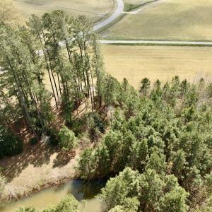 Photo #16 of Off Black Mingle Rd, Gates, NC 0.6 acres