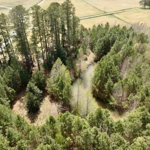 Photo #17 of Off Black Mingle Rd, Gates, NC 0.6 acres