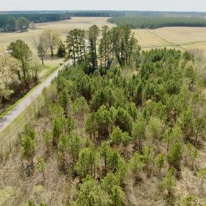 Photo #1 of Off Black Mingle Rd, Gates, NC 0.6 acres