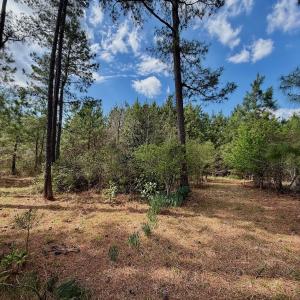 Photo #19 of Off Black Mingle Rd, Gates, NC 0.6 acres
