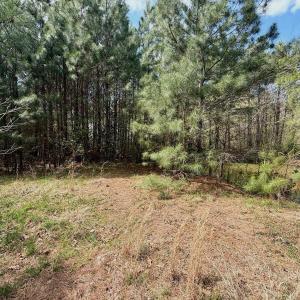 Photo #21 of Off Black Mingle Rd, Gates, NC 0.6 acres