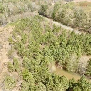 Photo #22 of Off Black Mingle Rd, Gates, NC 0.6 acres