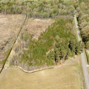 Photo #3 of Off Black Mingle Rd, Gates, NC 0.6 acres