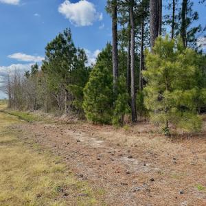 Photo #4 of Off Black Mingle Rd, Gates, NC 0.6 acres
