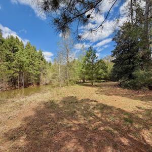 Photo #5 of Off Black Mingle Rd, Gates, NC 0.6 acres