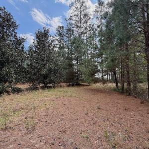 Photo #6 of Off Black Mingle Rd, Gates, NC 0.6 acres