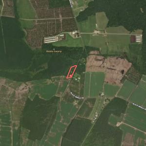 Photo #25 of Off Black Mingle Rd, Gates, NC 0.6 acres