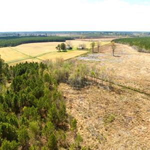 Photo #10 of Off Black Mingle Rd, Gates, NC 112.0 acres