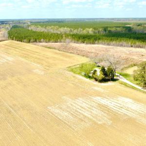 Photo #11 of Off Black Mingle Rd, Gates, NC 112.0 acres