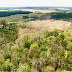 Photo #12 of Off Black Mingle Rd, Gates, NC 112.0 acres