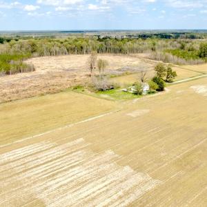 Photo #13 of Off Black Mingle Rd, Gates, NC 112.0 acres