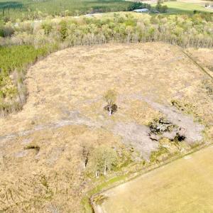 Photo #15 of Off Black Mingle Rd, Gates, NC 112.0 acres