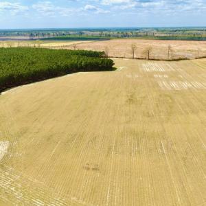 Photo #1 of Off Black Mingle Rd, Gates, NC 112.0 acres