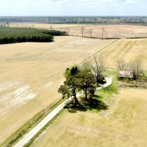 Photo #2 of Off Black Mingle Rd, Gates, NC 112.0 acres