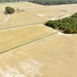 Photo #4 of Off Black Mingle Rd, Gates, NC 112.0 acres