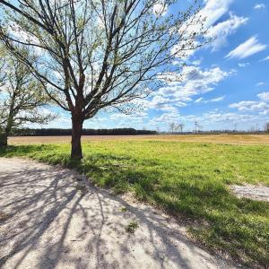 Photo #7 of Off Black Mingle Rd, Gates, NC 112.0 acres