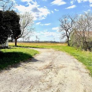 Photo #9 of Off Black Mingle Rd, Gates, NC 112.0 acres