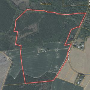 Photo #21 of Off Black Mingle Rd, Gates, NC 112.0 acres