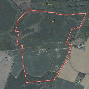 Photo #18 of Off Black Mingle Rd, Gates, NC 112.0 acres