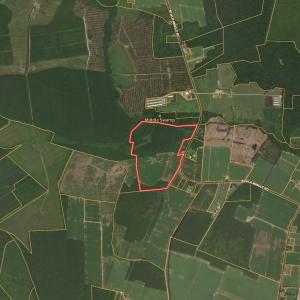 Photo #20 of Off Black Mingle Rd, Gates, NC 112.0 acres