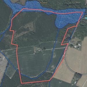 Photo #19 of Off Black Mingle Rd, Gates, NC 112.0 acres