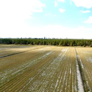 Photo #20 of Off Black Mingle Rd, Gates, NC 109.8 acres