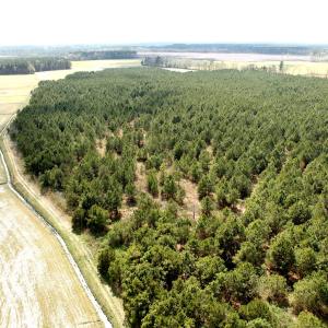 Photo #14 of Off Black Mingle Rd, Gates, NC 109.8 acres