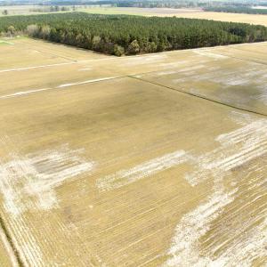 Photo #15 of Off Black Mingle Rd, Gates, NC 109.8 acres