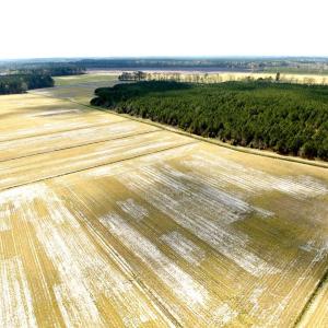 Photo #16 of Off Black Mingle Rd, Gates, NC 109.8 acres