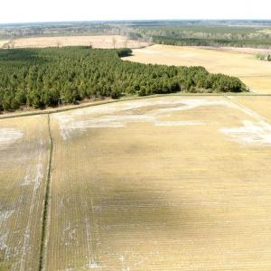 Photo #1 of Off Black Mingle Rd, Gates, NC 109.8 acres