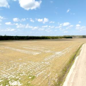 Photo #2 of Off Black Mingle Rd, Gates, NC 109.8 acres