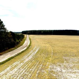 Photo #3 of Off Black Mingle Rd, Gates, NC 109.8 acres