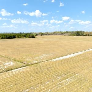 Photo #5 of Off Black Mingle Rd, Gates, NC 109.8 acres