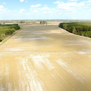 Photo #9 of Off Black Mingle Rd, Gates, NC 109.8 acres