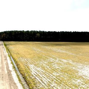 Photo #21 of Off Black Mingle Rd, Gates, NC 109.8 acres