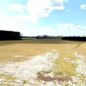 Photo #22 of Off Black Mingle Rd, Gates, NC 109.8 acres