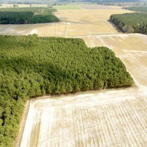 Photo #24 of Off Black Mingle Rd, Gates, NC 109.8 acres