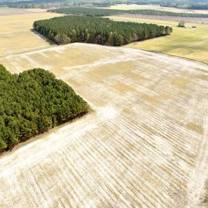 Photo #25 of Off Black Mingle Rd, Gates, NC 109.8 acres