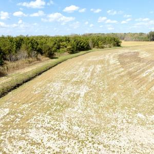 Photo #28 of Off Black Mingle Rd, Gates, NC 109.8 acres