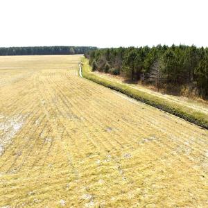 Photo #29 of Off Black Mingle Rd, Gates, NC 109.8 acres