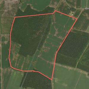 Photo #33 of Off Black Mingle Rd, Gates, NC 109.8 acres